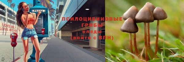 скорость Кинешма