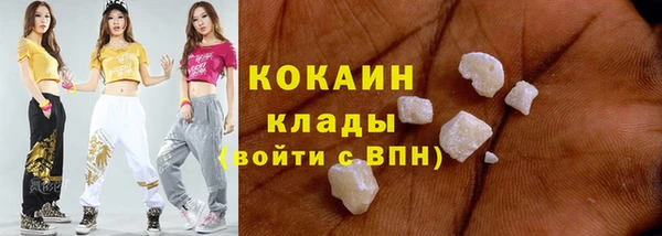 сатива Карпинск