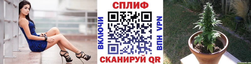 Конопля Amnesia  Курчатов 